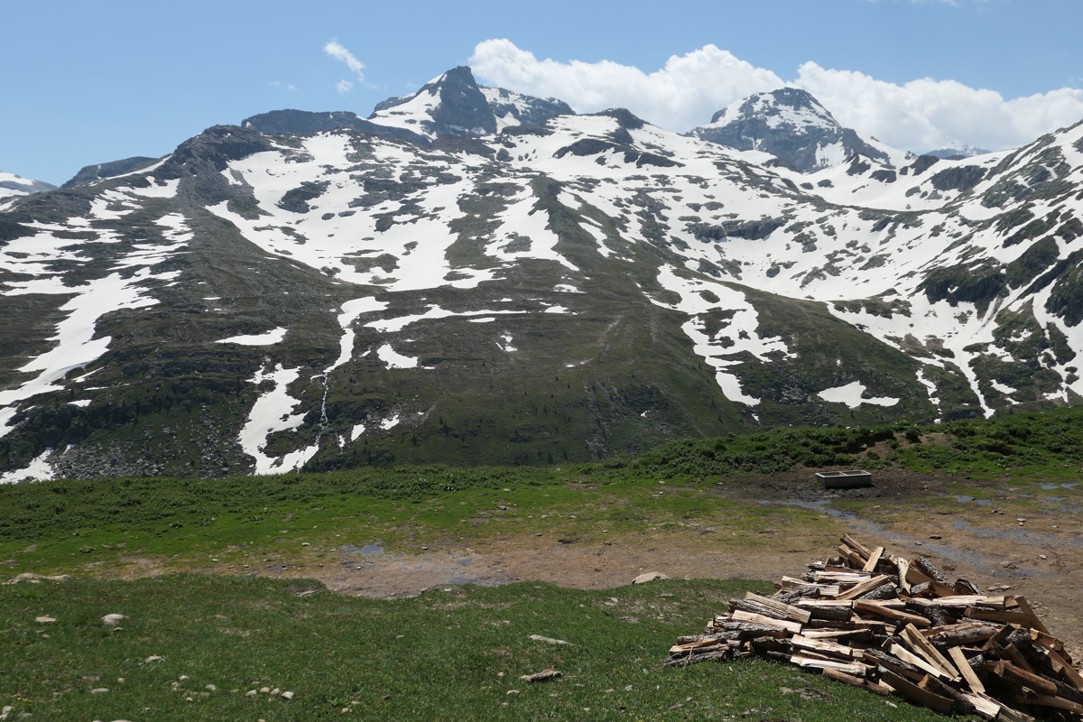 p1010290.jpg