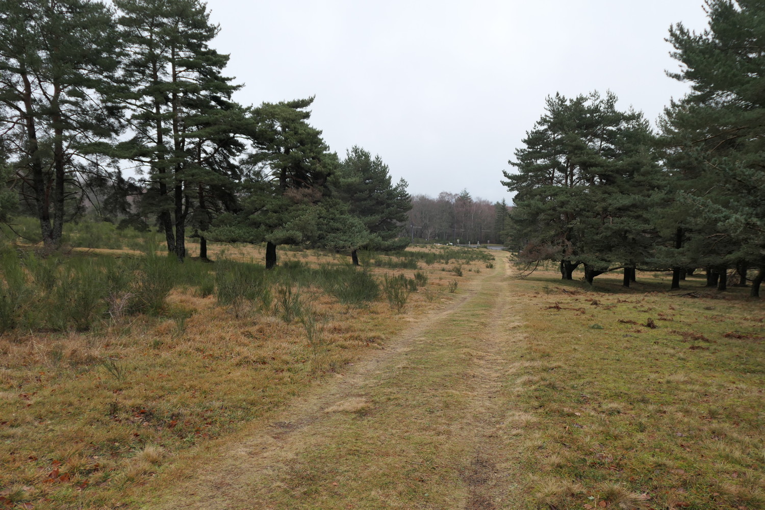 p1030300.jpg