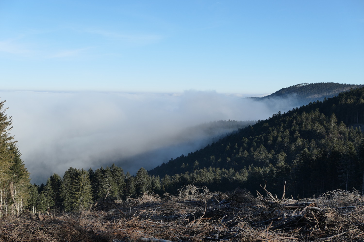 p1030344.jpg