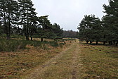 p1030300.jpg