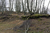 p1030319.jpg
