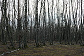 p1030322.jpg