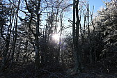 p1030346.jpg