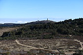 p1030350.jpg