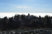 p1030351.jpg