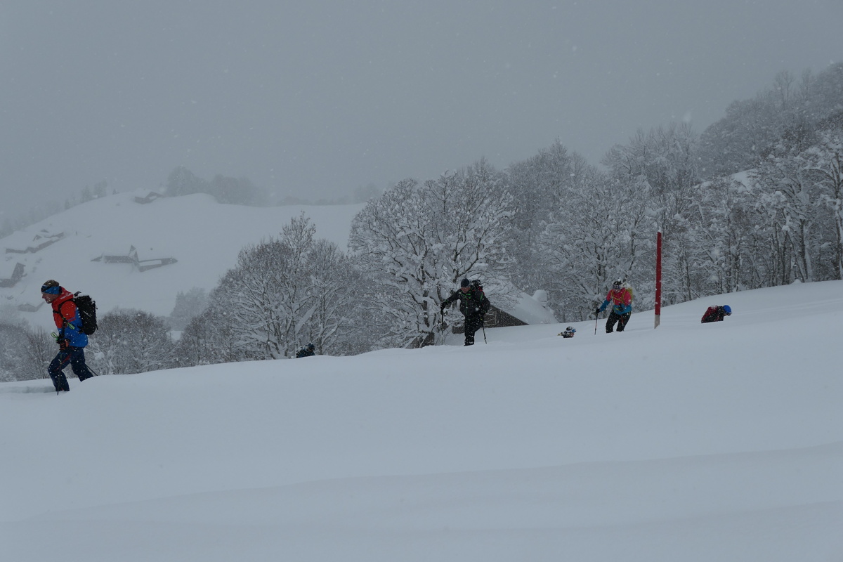 p1000058.jpg