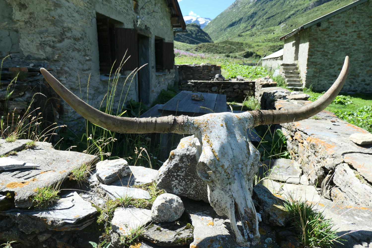 p1000925.jpg