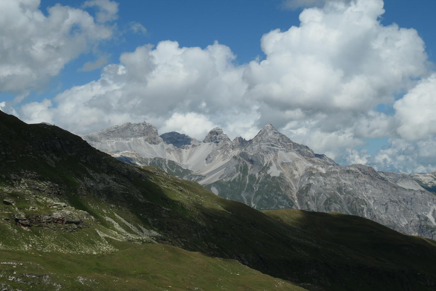 p1000940.jpg