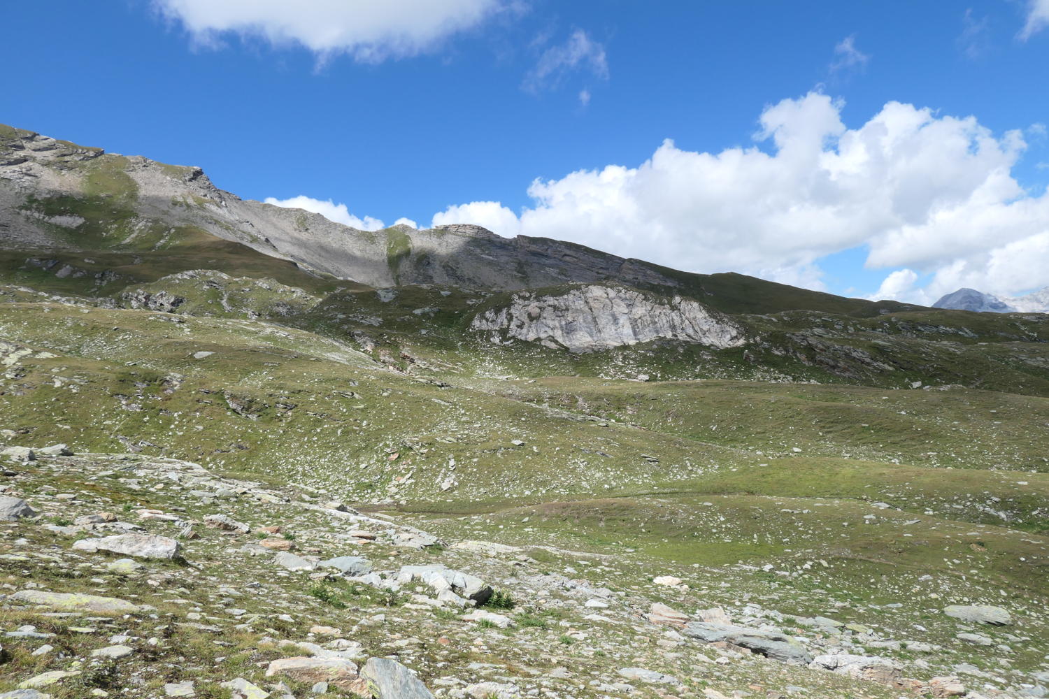 p1000942.jpg