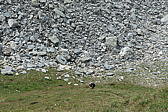 p1000939.jpg