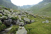 p1000960.jpg