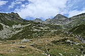 p1000970.jpg
