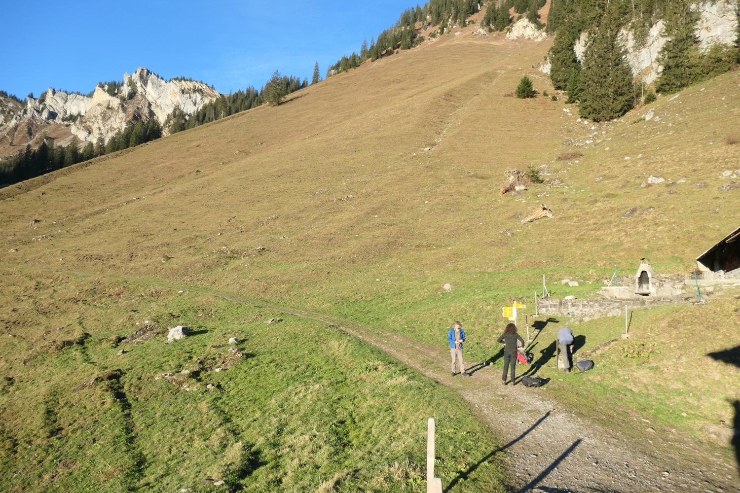 p1001944.jpg