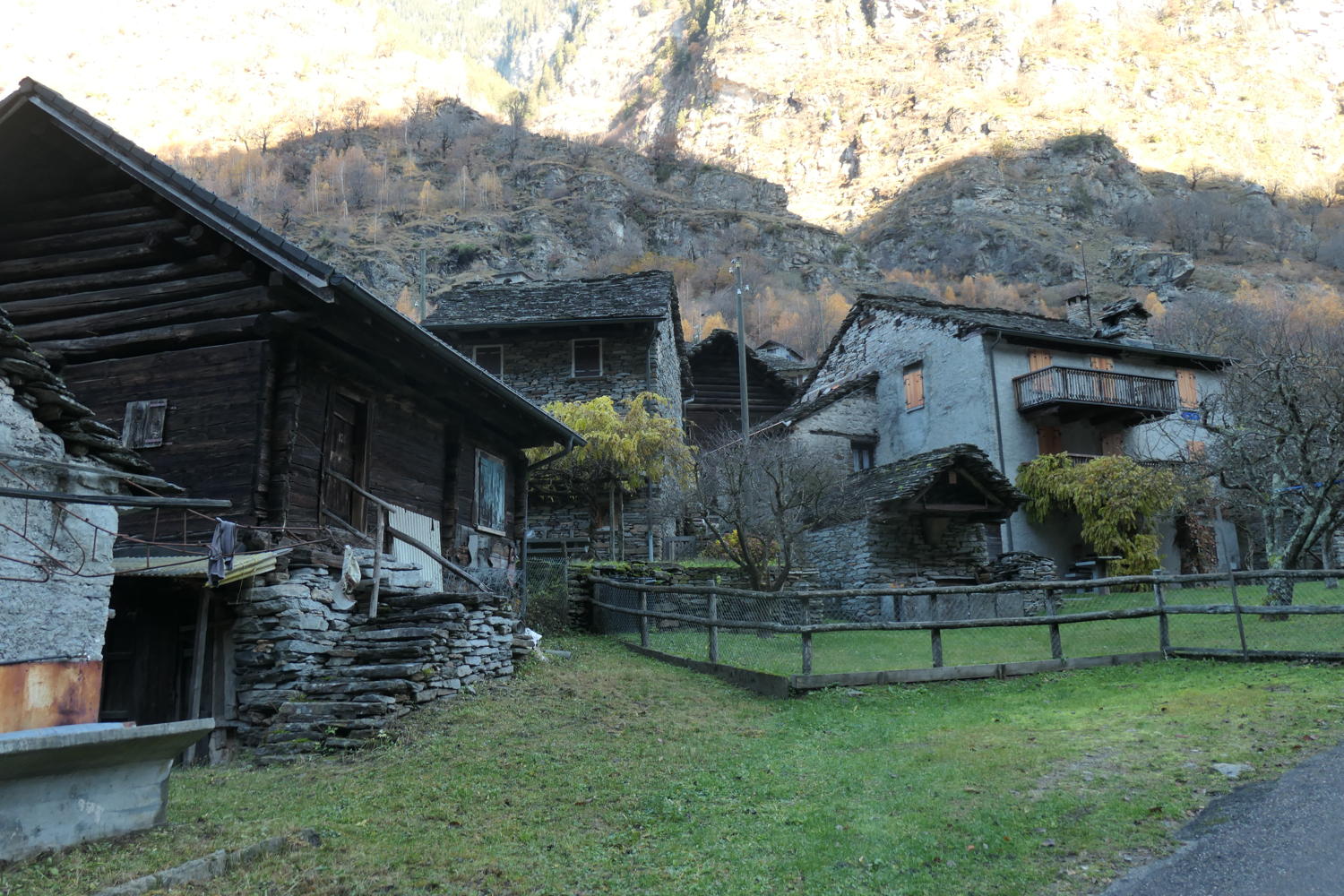 p1001897.jpg
