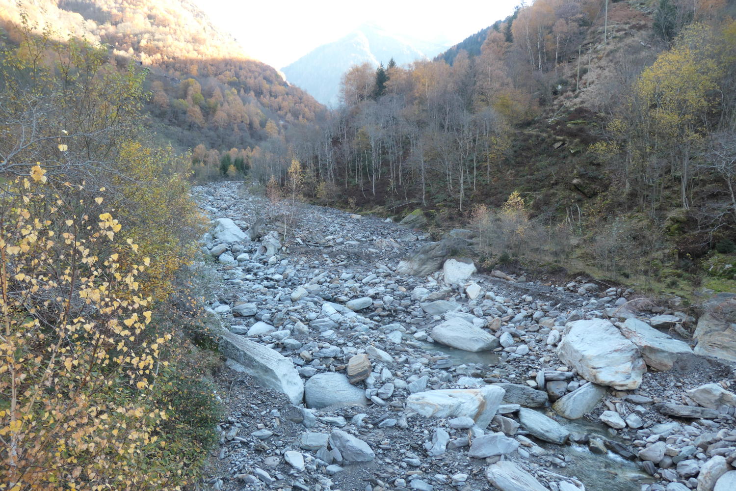 p1001901.jpg
