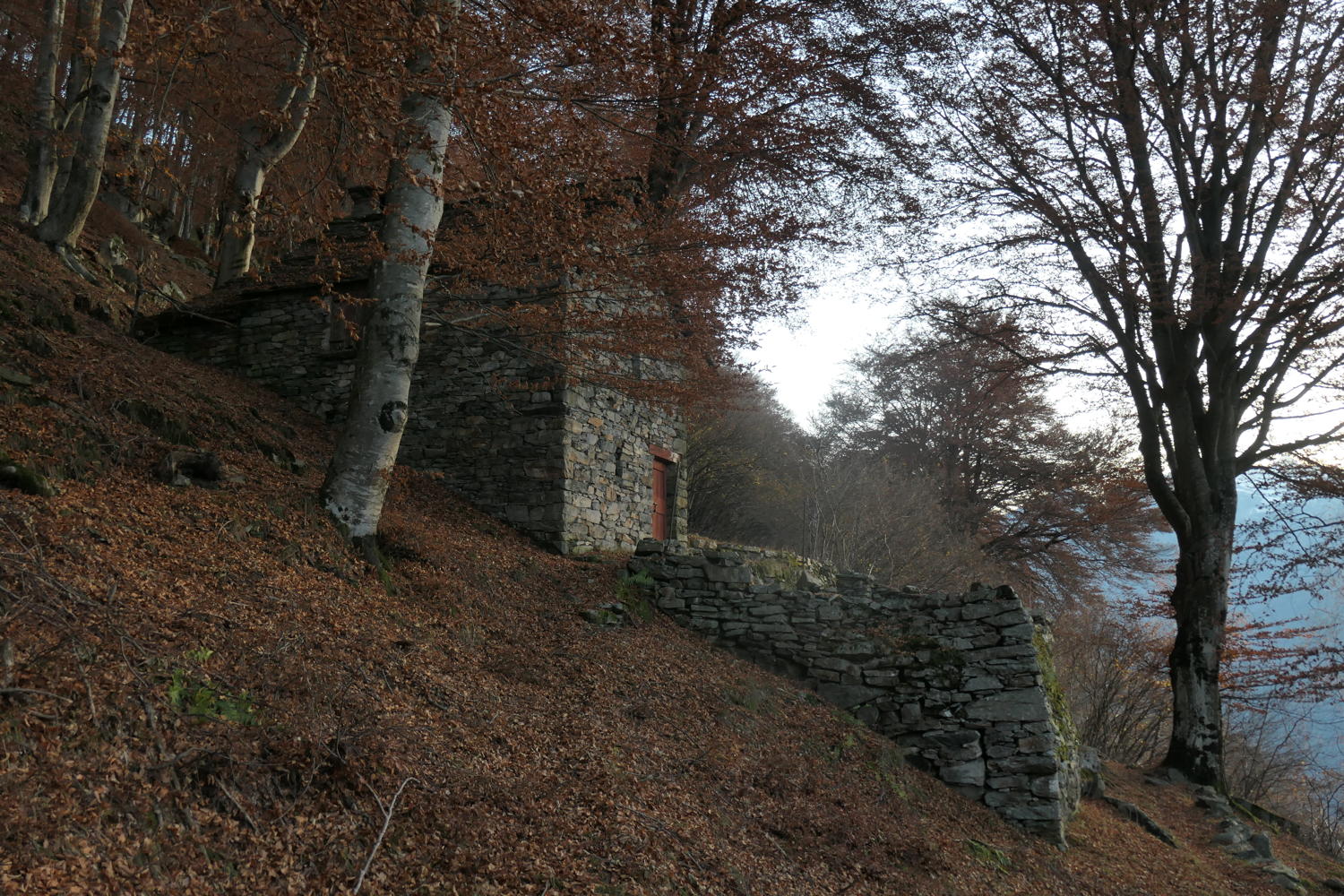p1001919.jpg