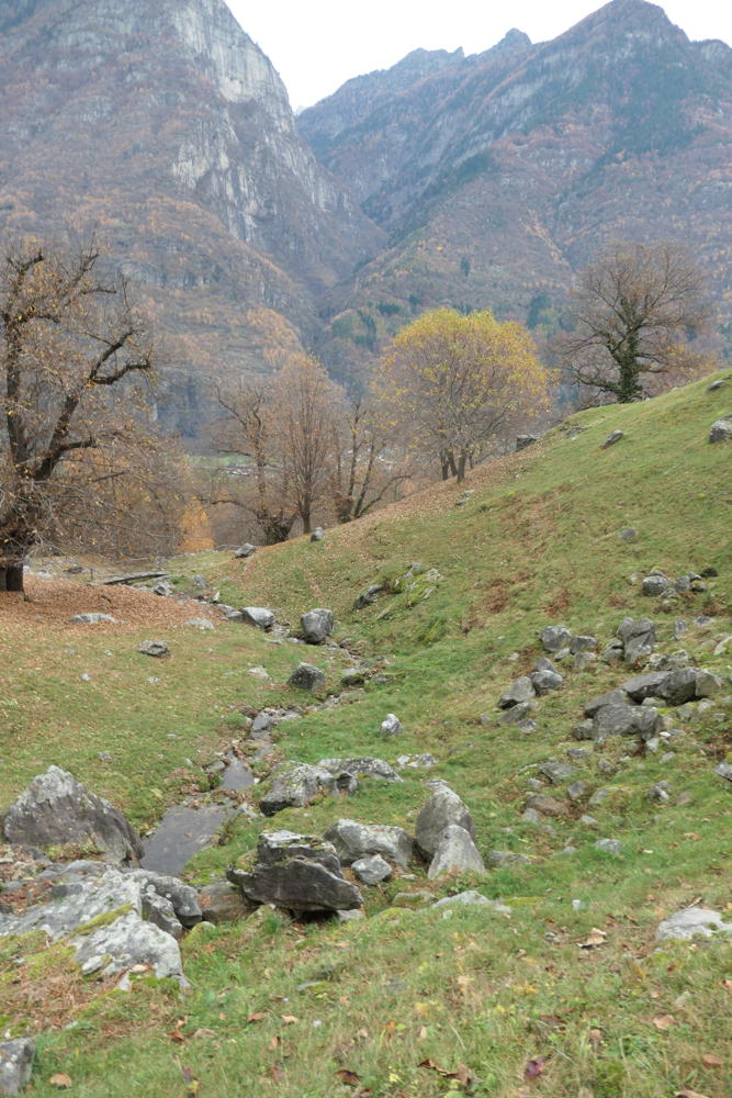 p1001920.jpg