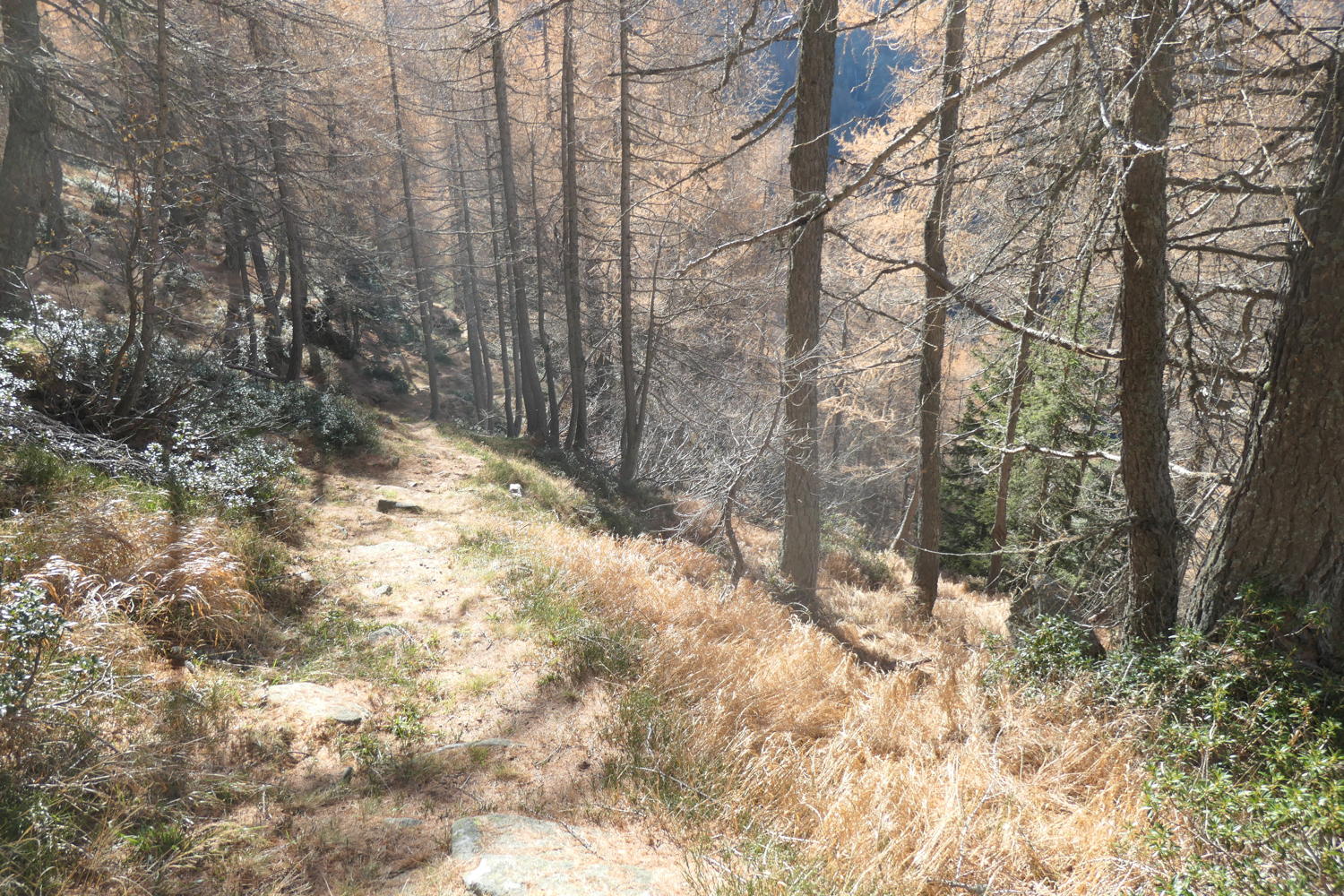 p1001933.jpg