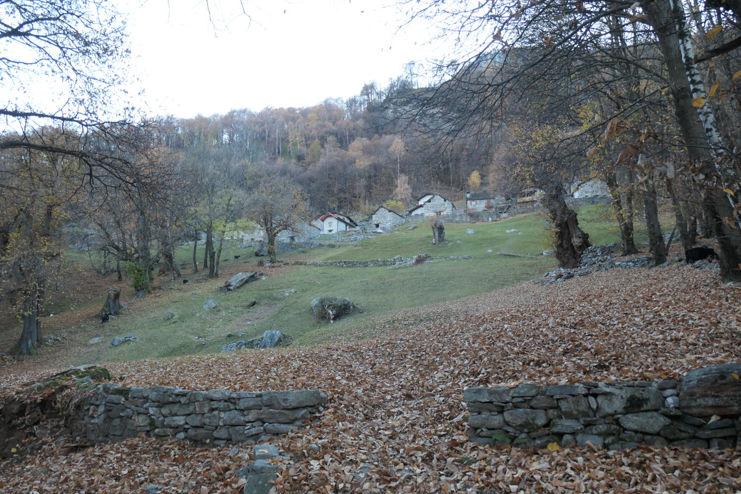 p1001938.jpg