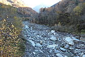 p1001901.jpg