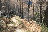 p1001933.jpg
