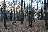p1001937.jpg