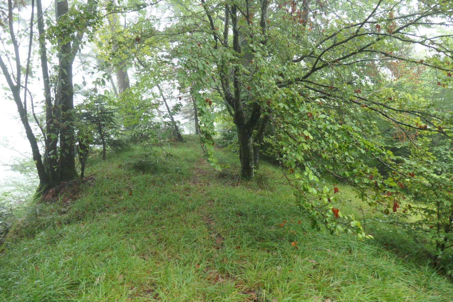 p1001023.jpg