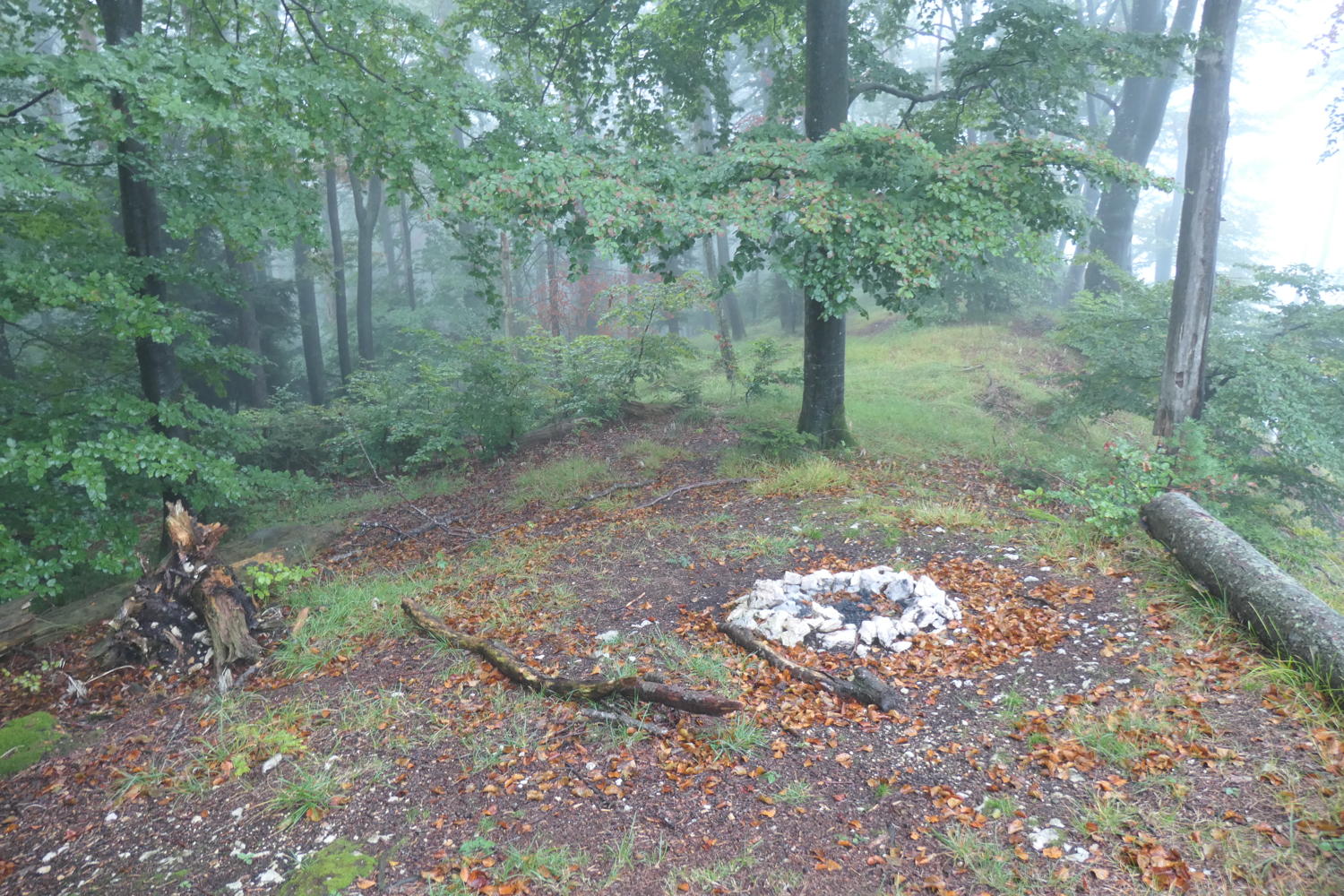 p1001024.jpg