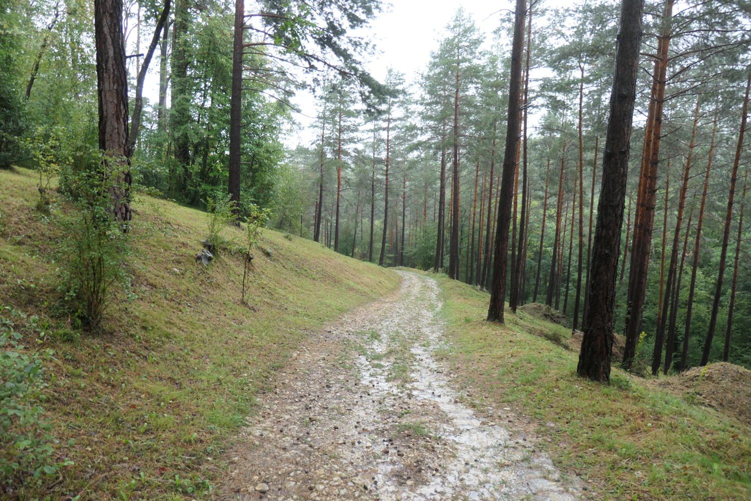 p1001025.jpg