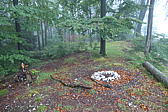 p1001024.jpg
