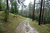 p1001025.jpg