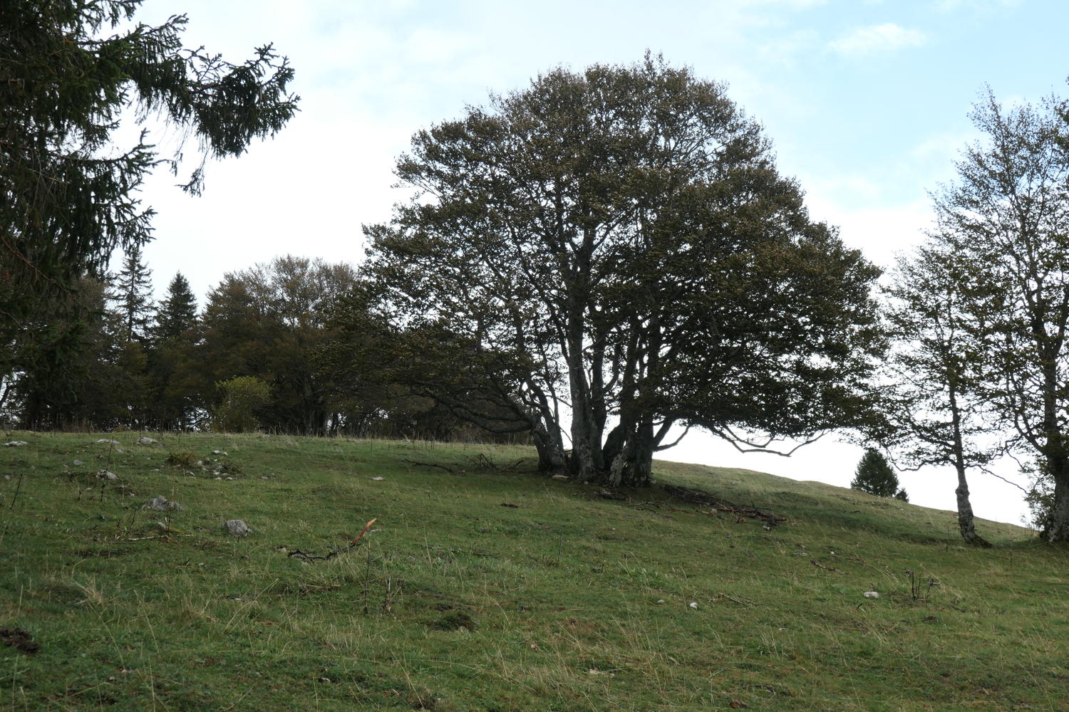 p1001116.jpg