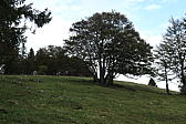 p1001116.jpg