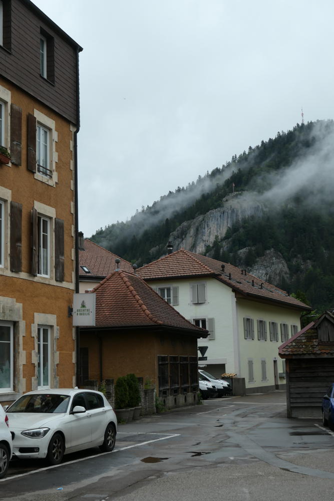 p1000445.jpg