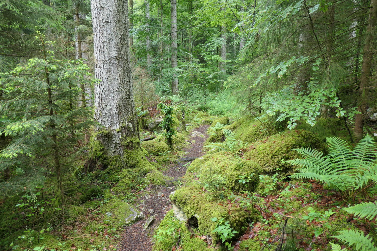 p1000449.jpg