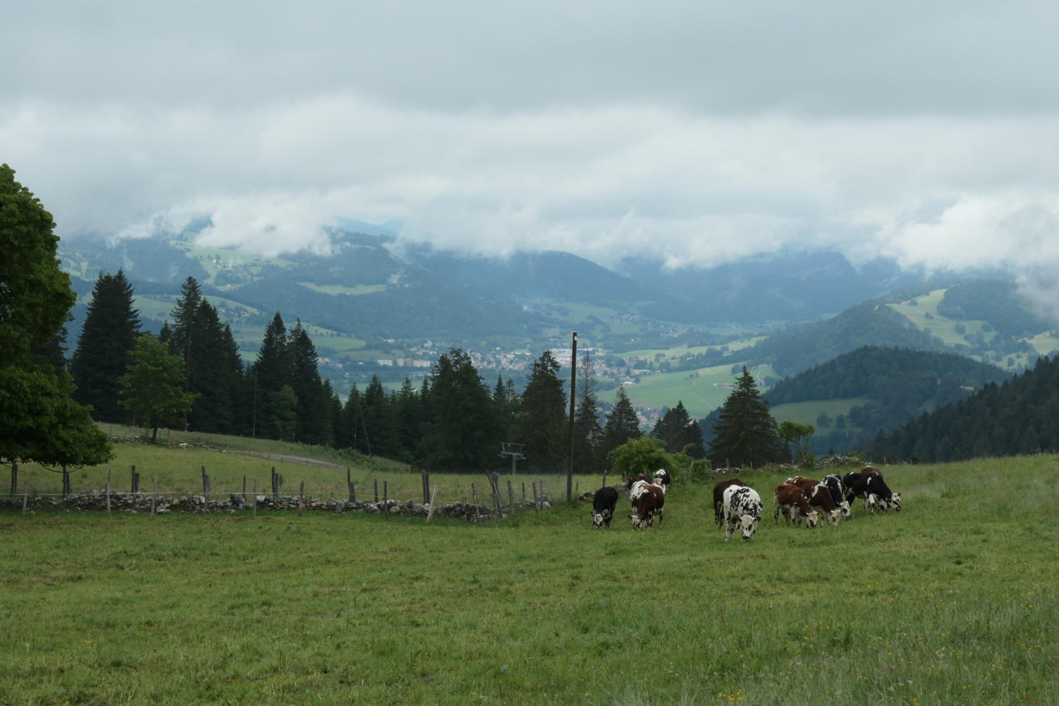 p1000451.jpg