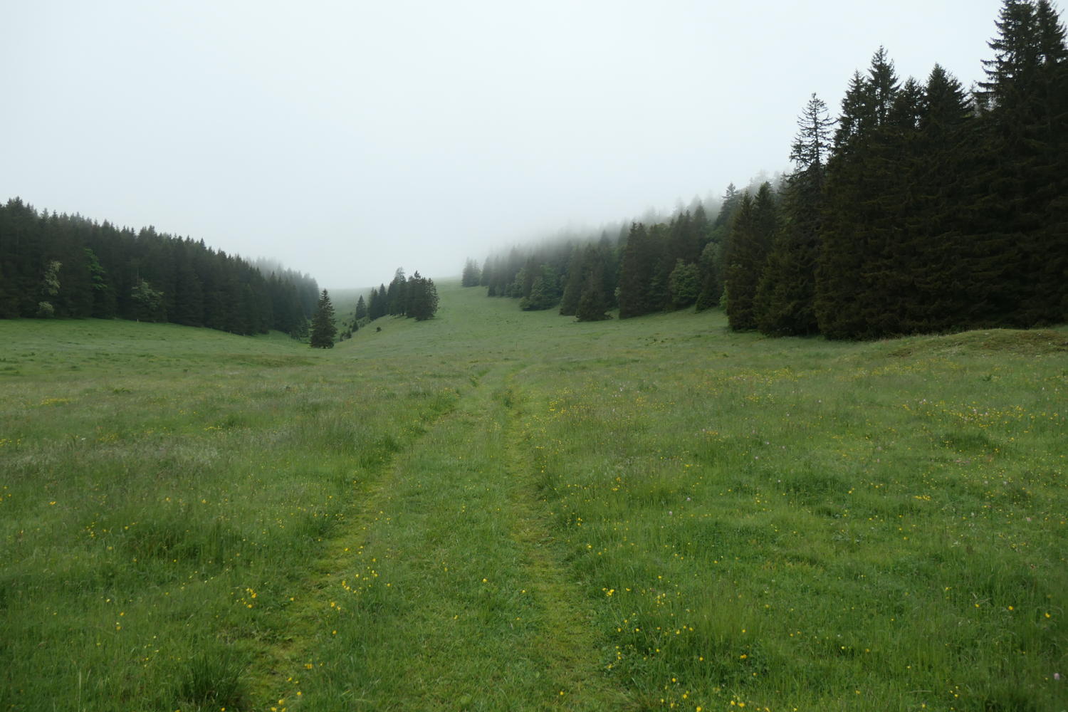 p1000453.jpg
