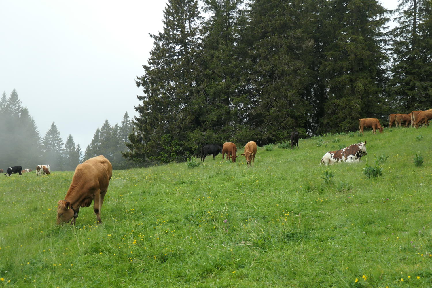 p1000460.jpg