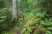 p1000449.jpg