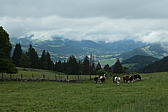 p1000451.jpg