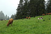 p1000460.jpg