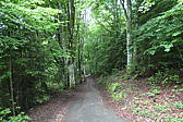 p1000461.jpg