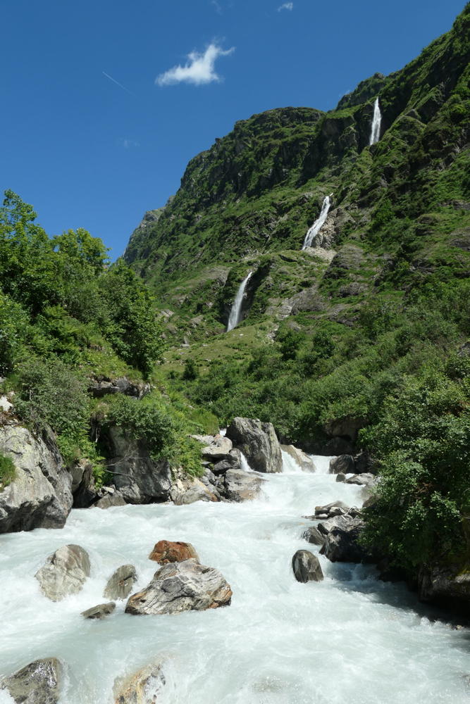 p1000664.jpg