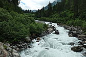 p1000601.jpg