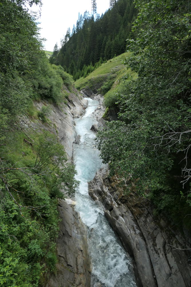 p1000705.jpg