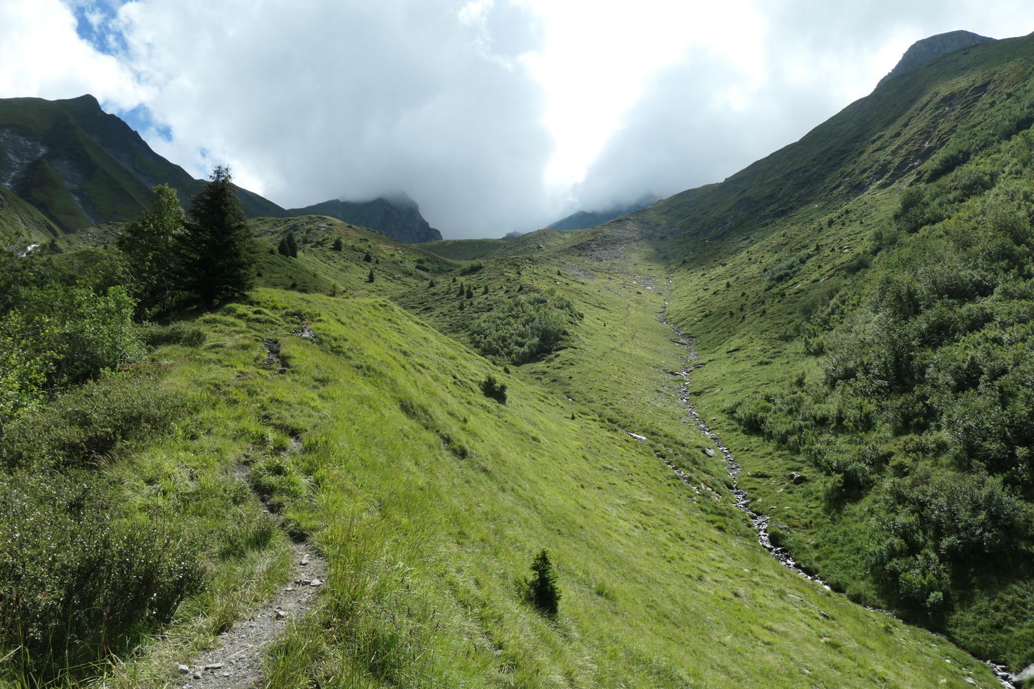 p1000710.jpg