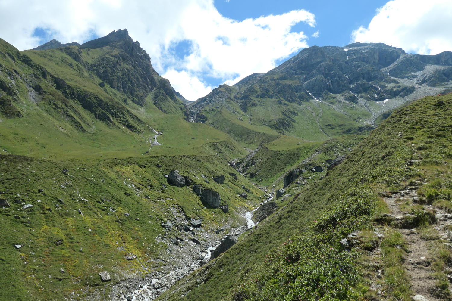 p1000713.jpg