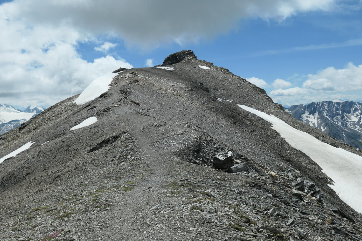 p1000719.jpg