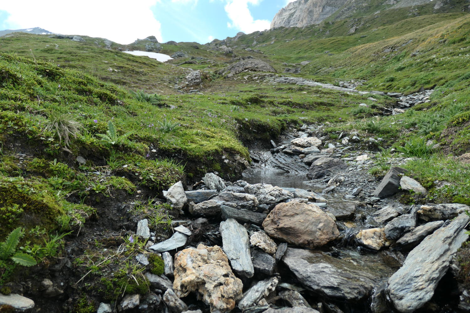 p1000724.jpg