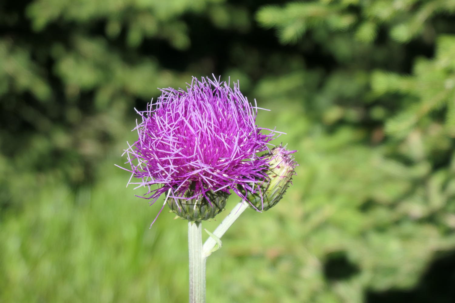 p1000734.jpg